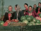 Кубанские казаки