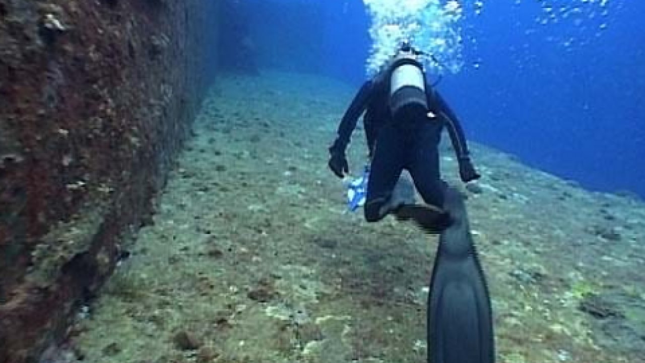Подводный мир Андрея Макаревича - Программа, Познавательная