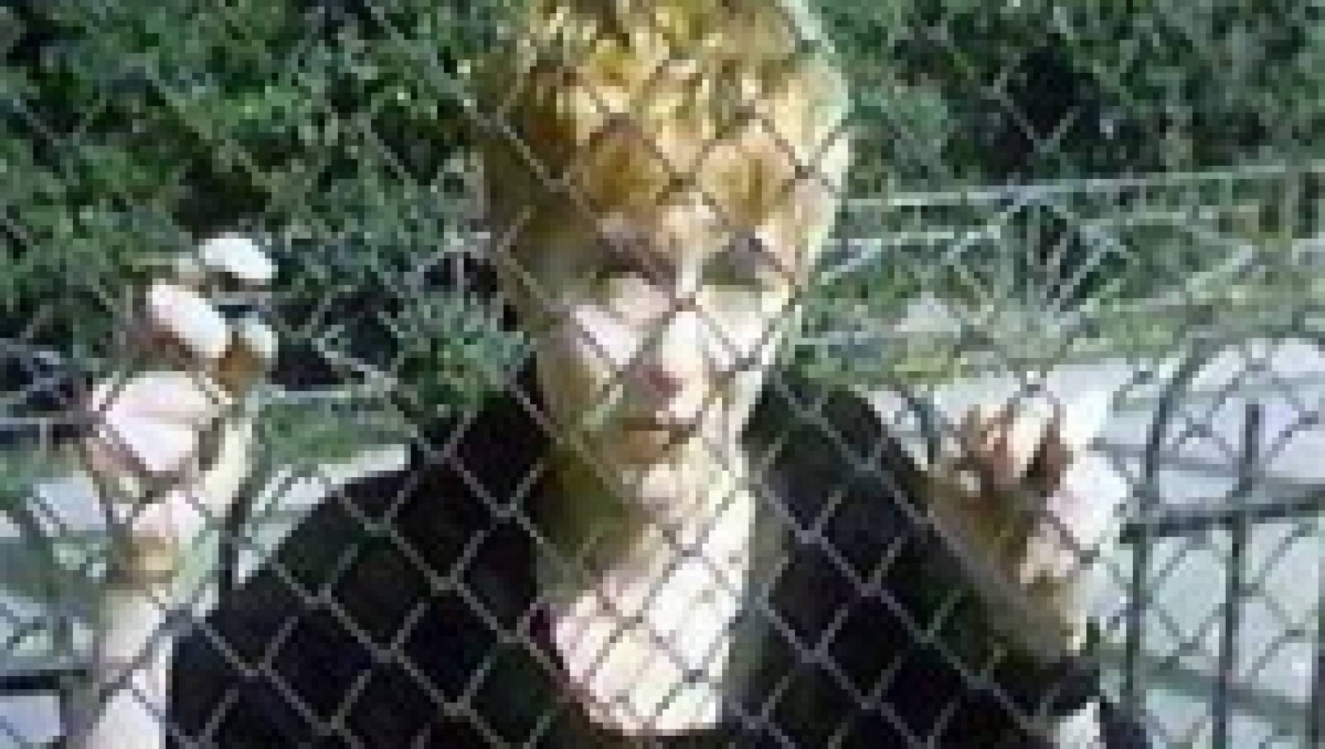 Екатерина 1992