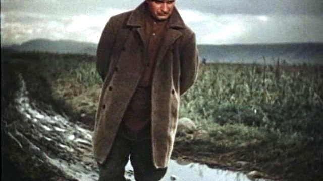 Фильм «Кавалер Золотой Звезды» 1950: актеры, время выхода и описание на ...