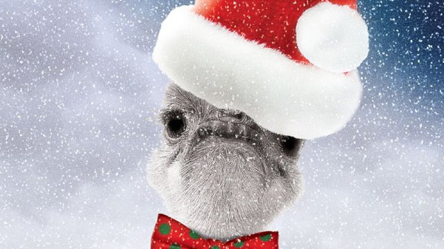 Новогодний переполох