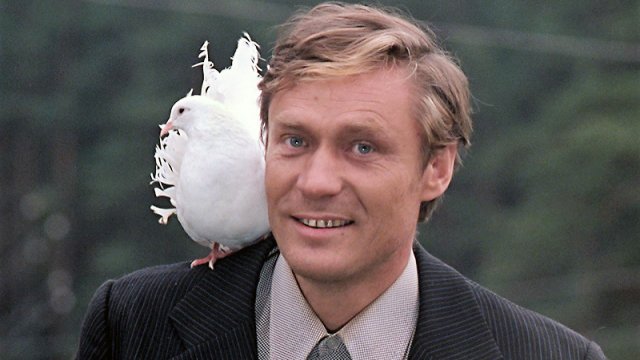 Александр Михайлов. Кино, любовь и голуби