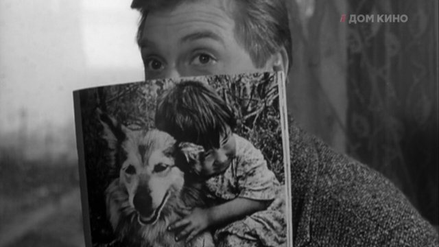 Фильм «Дайте жалобную книгу» 1965: актеры, время выхода и описание на ...