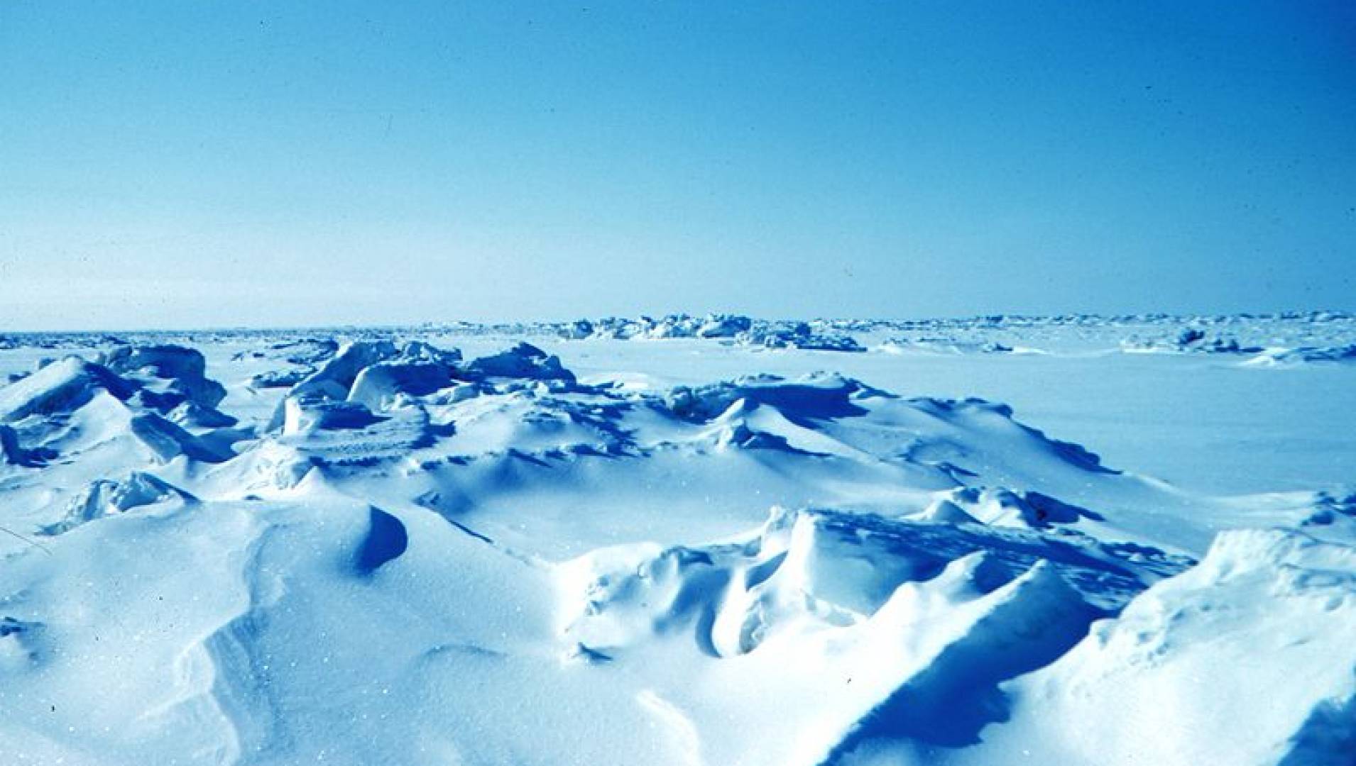 Зона арктических пустынь