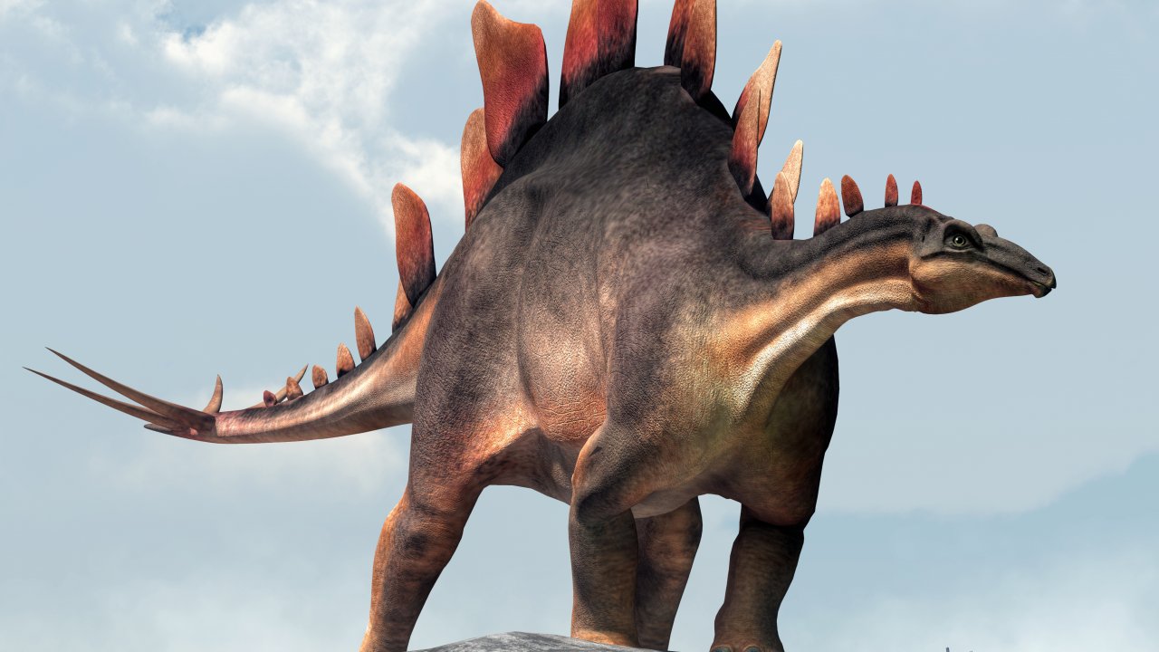 Стегозавр. 
