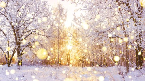 ТЕСТ Хорошо ли вы помните стихи о зиме