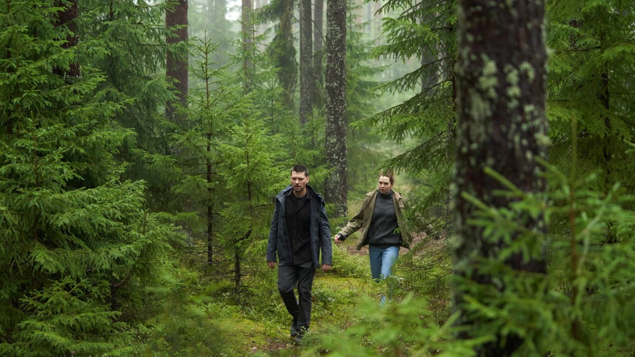 Знахарь. Одержимость - Детектив, Сериал
