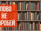 Слово не воробей