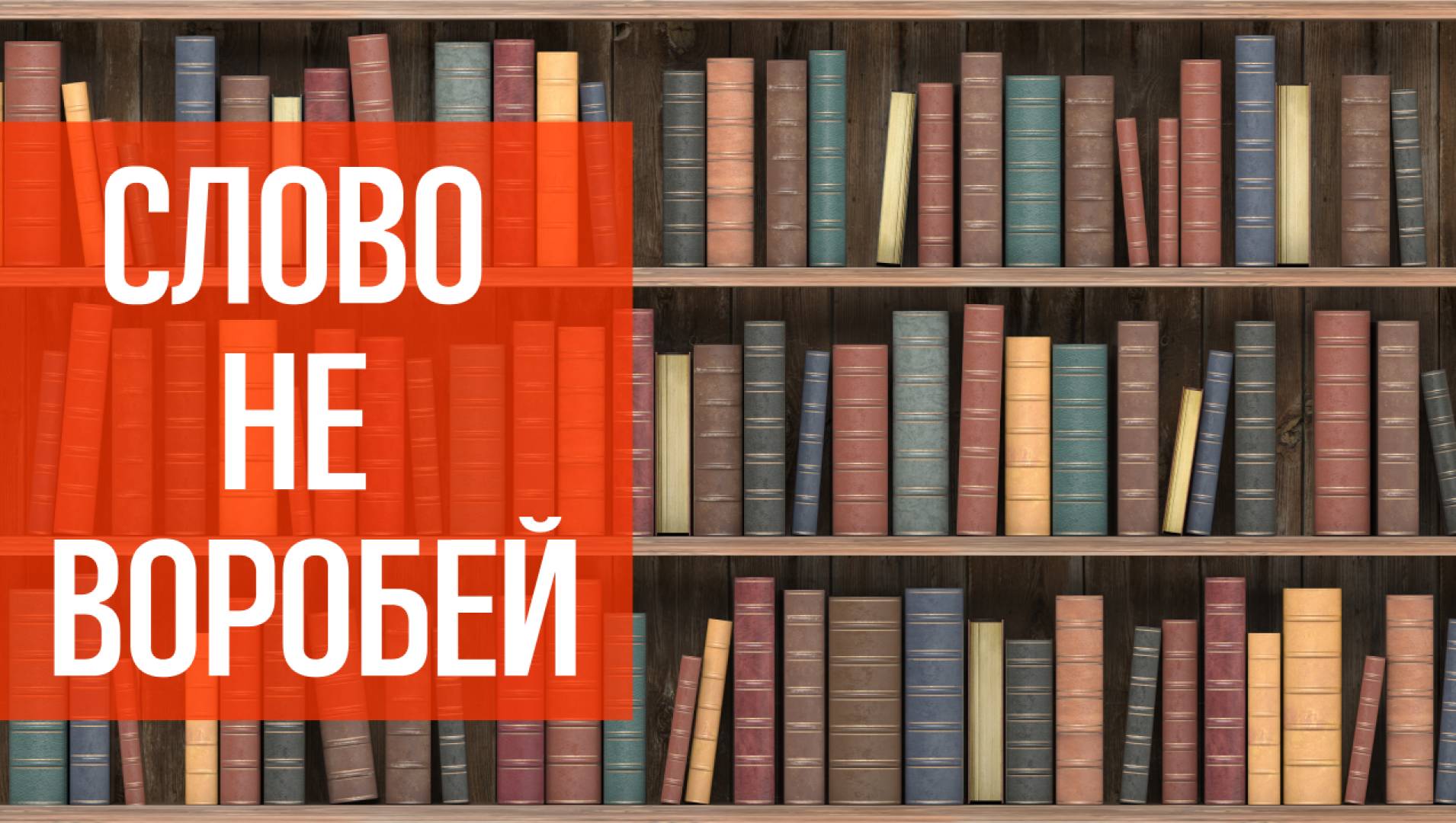 Слово не воробей - Документальная, Программа